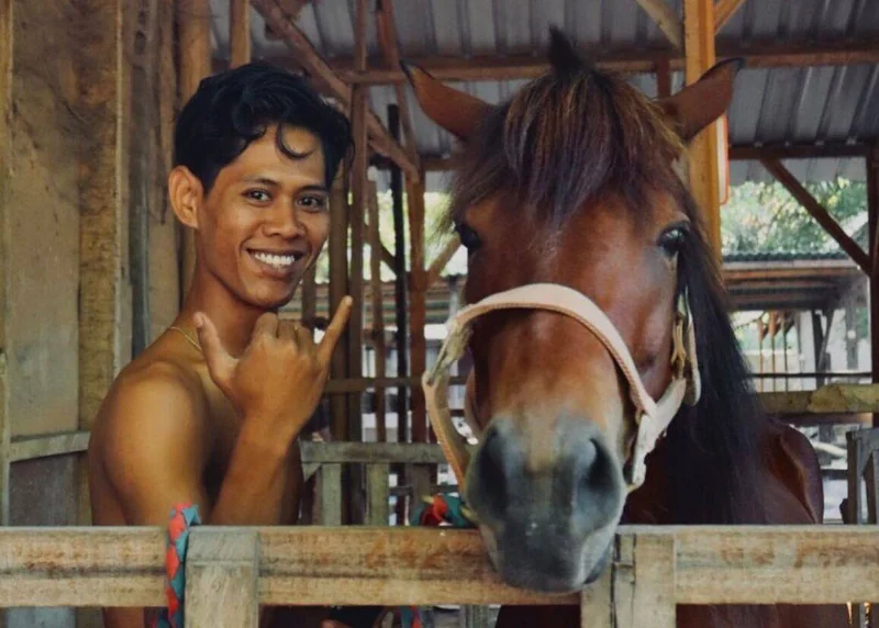 A caretaker with a horse at Horses of Gili